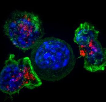 预计将开发针对耐药性癌细胞的新疗法