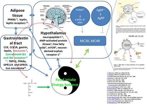 味精在猪营养领域的应用研究取得进展