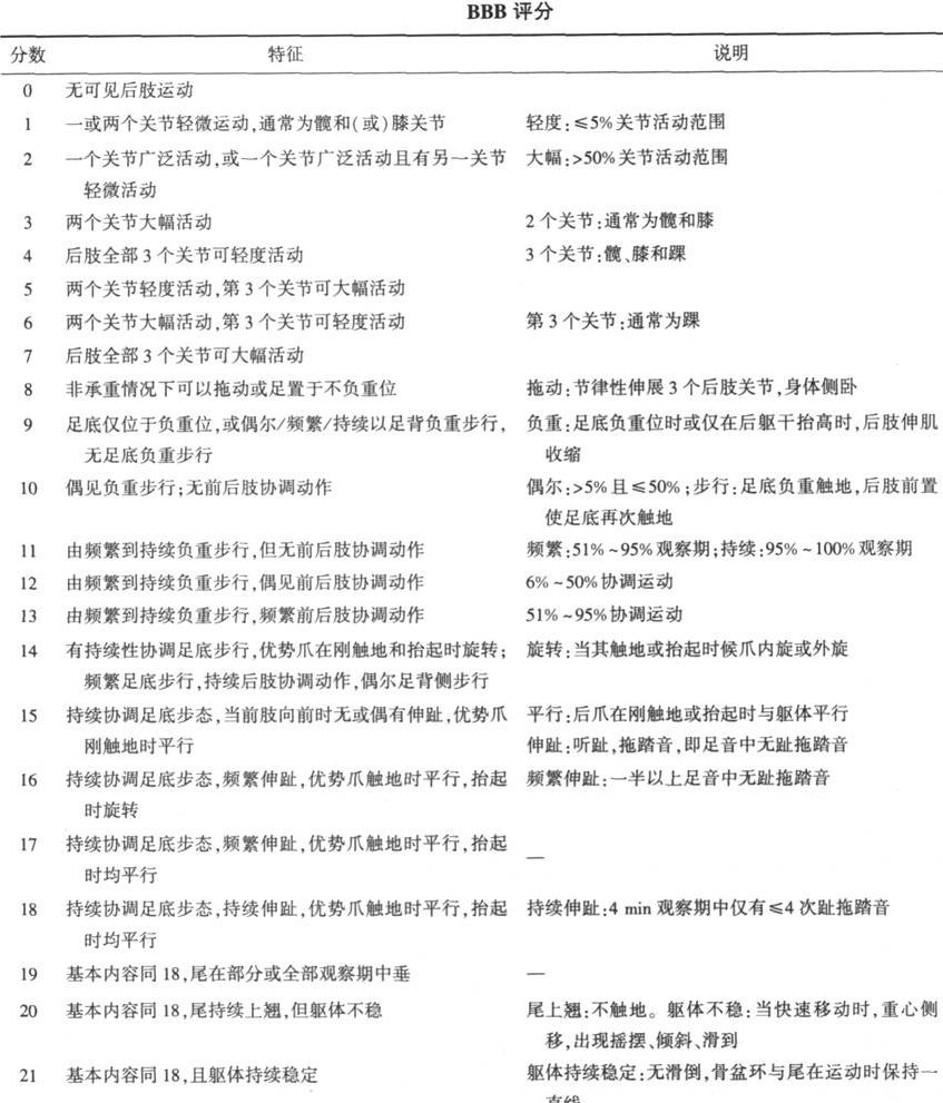 【动物造模】-脊髓损伤动物模型的行为学评价研究进展