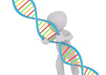 【动物造模】-如何建立糖尿病转基因猪模型？