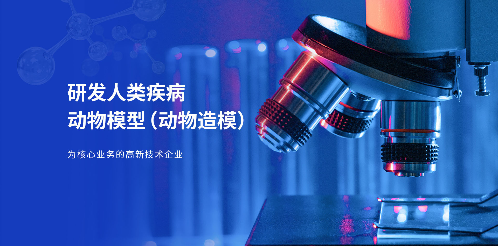 动物造模
