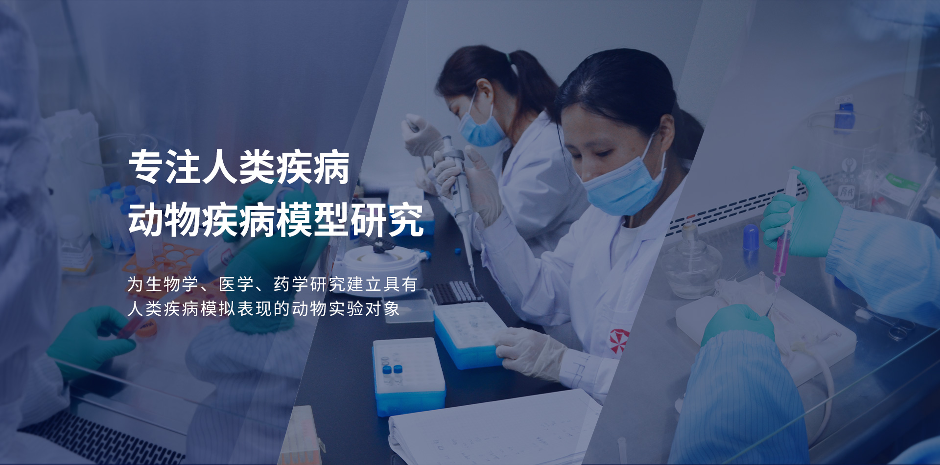 人类疾病动物疾病模型研究