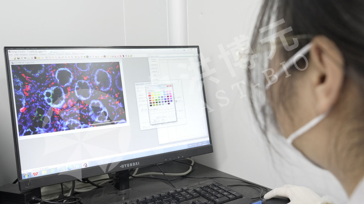 中洪博元病理实验室：严谨为基，精准为纲