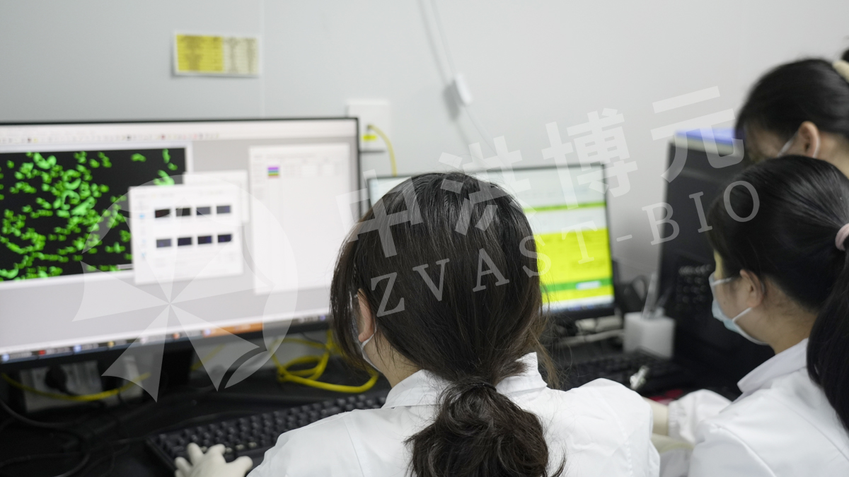 做实验，来中洪！精密实验，数据可信！