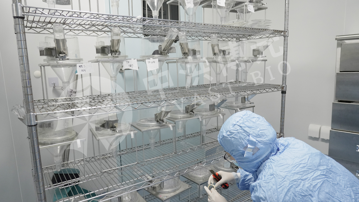 做实验，来中洪！标准操作，规范流程，专业看得见