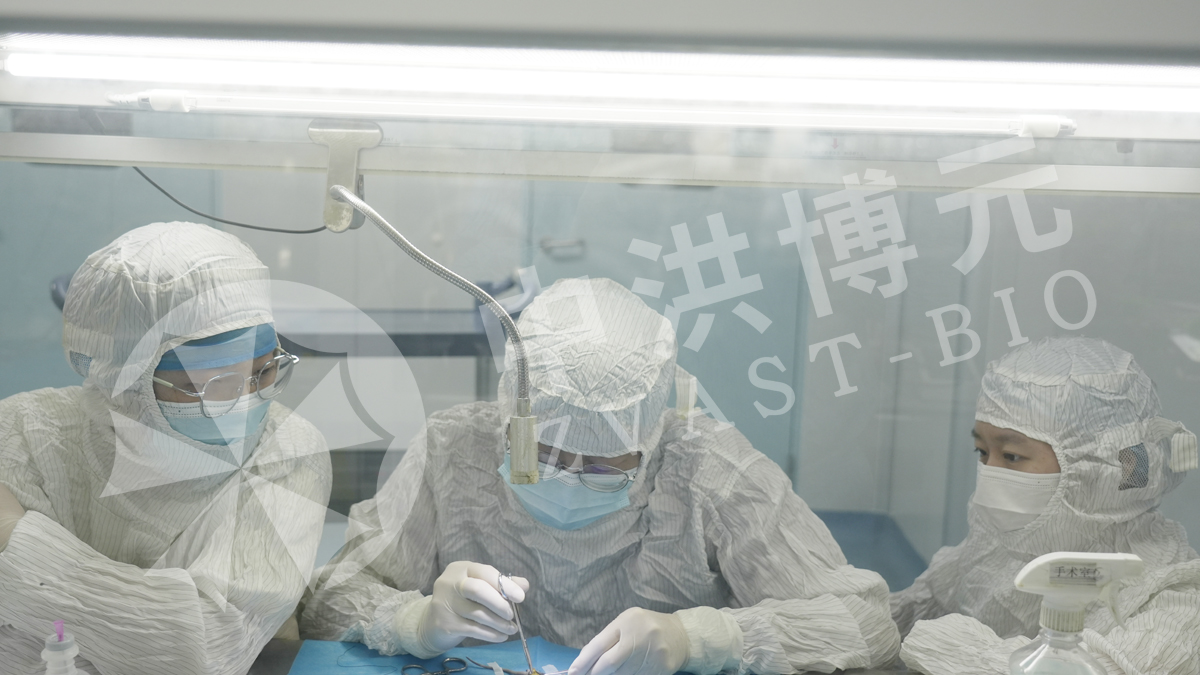 做实验，来中洪。中洪博元实验室具有全标准化 SPF 动物房与分子病理检测平台。自研成熟造模方案 + 标准化实验操作，可省去课题团队大量造模试错、场地运维、动物设施投入。从方案设计到完整数据交付全程专人对接，稳定可控的实验体系，只要您有需求可深度沟通合作。